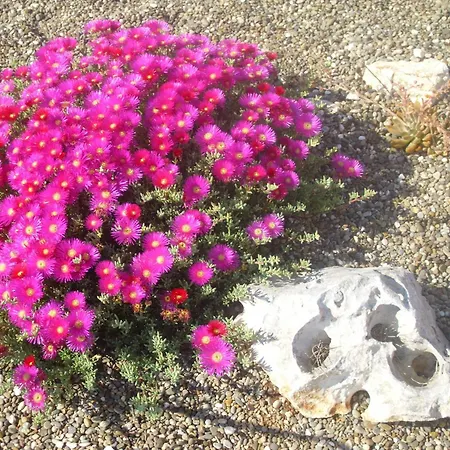 Masseria La Gravina * Palagianello